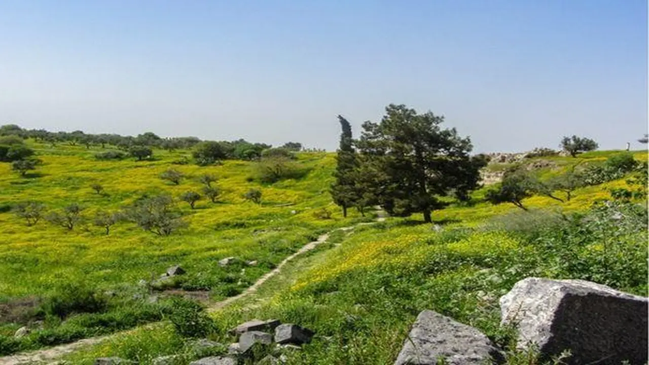 توقعات حالة الطقس في الأردن ليوم الثلاثاء وسط تقلبات جوية مرتقبة